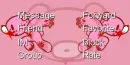 gloomy contact table
