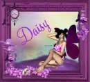 Daisy -Time for dreams