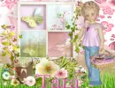 Tara