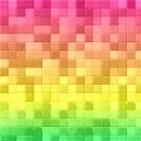 Frill Rainbow