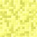 Frill Yellow