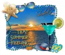 Summer Feeling ~ Shakela