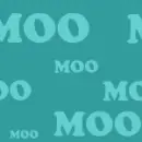 Mooooo