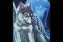 wolf spirit