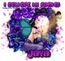 jaya
