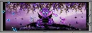 Dragon fb cover