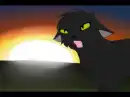 Warrior cats- Hollyleaf