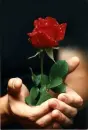 mary mendez
