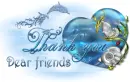Thanks dear friends (summer)