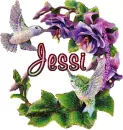 Jessi - fg