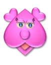 pig