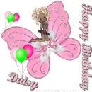 Daisy - Butterfly - Birthday 