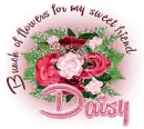 Daisy