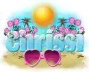 Chrissi-Pink Summer glasses