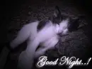 Goodnight