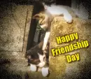 Happy Friendship Day Glitter 
