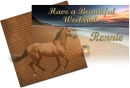 Beautiful Horse- Rennie