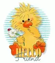 Hello  Friend