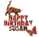 Happy Birthday Susan