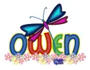Dragonfly ~ Owen