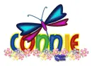 Dragonfly ~ Connie