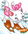 Aristo Cat