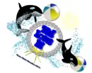 Mel - Dolphins - Loves It