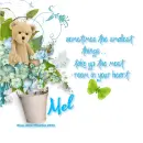 Mel - The Smallest Things - Bear