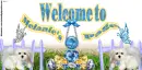 Welcome to Melanie's Page