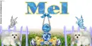 Mel