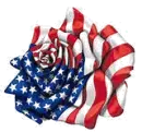 American Rose