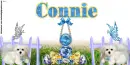 Connie