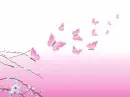 pink butterfly background
