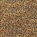 cheetah background
