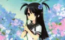 anime spring background