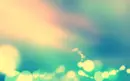 blue background