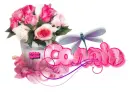 Roses N Dragonfly ~ Connie