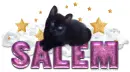 Salem-Cute cat