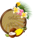 Aloha Hawaii