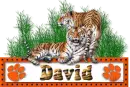 David