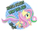 MLP(Never Forget) ~ Kayla