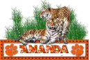 Amanda