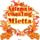 Mietta -Autumn is coming