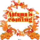 Autumn is coming