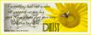 I'm sending you luck & Wishes. Daisy