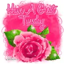 Great Tuesday