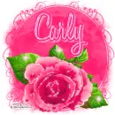 Carly