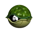 Shy Turtle