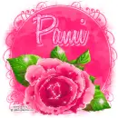 Pami