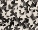 black and white background